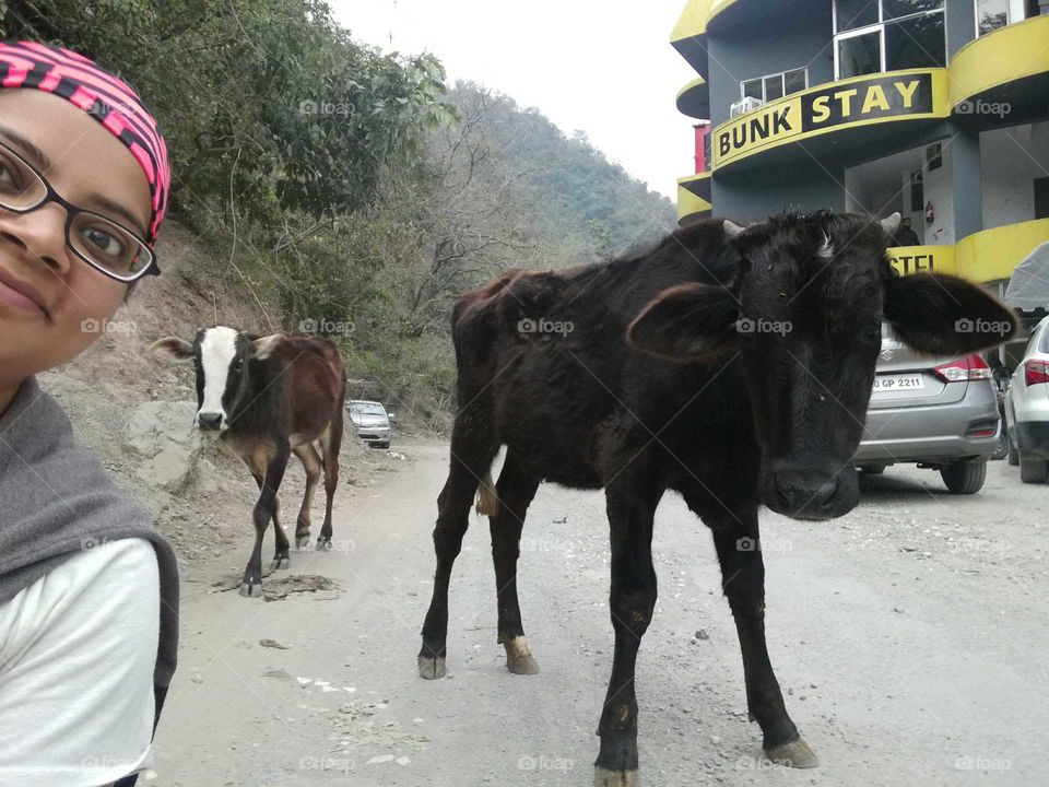 Selfie with girlfriends