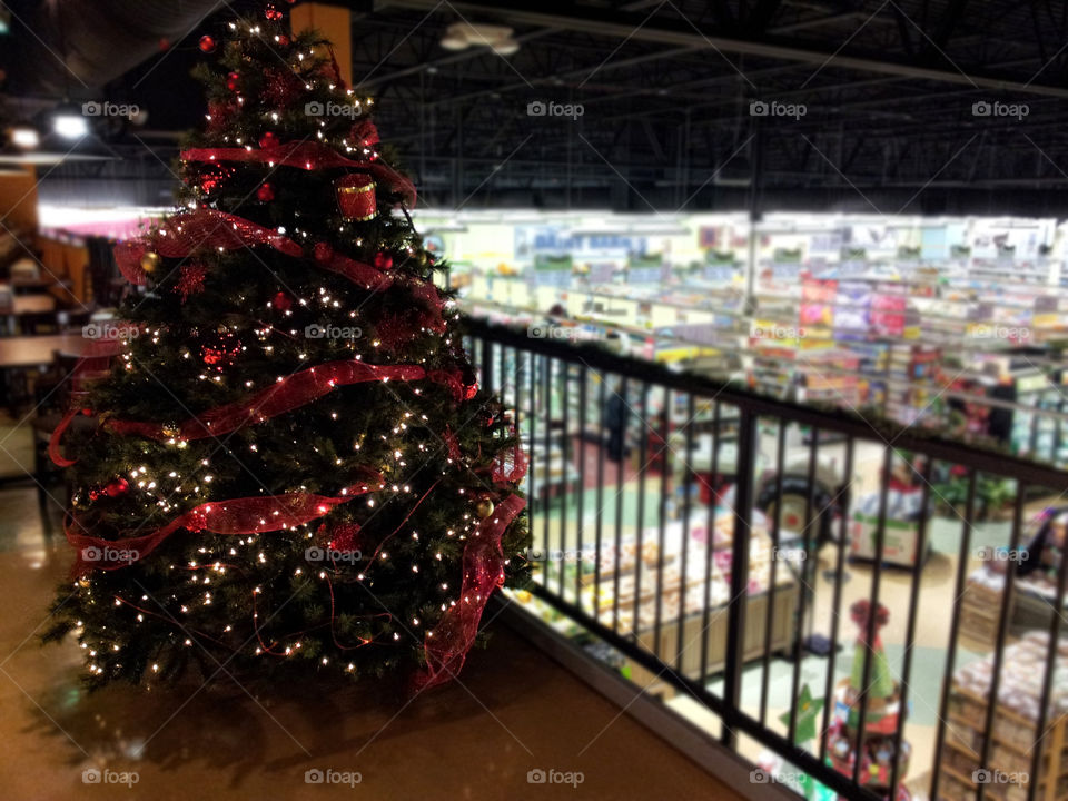 a beautiful Christmas tree in the very cool upstairs "eating area"of a grocery store