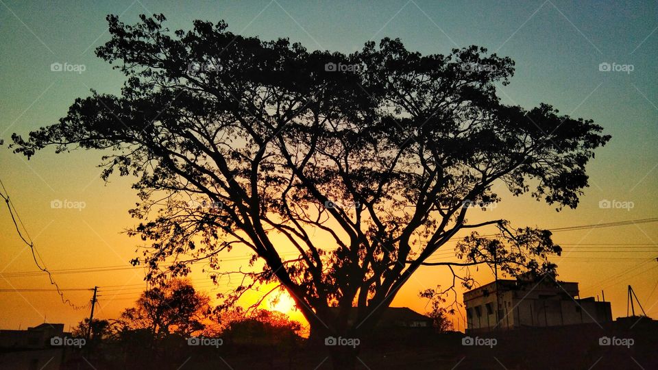 Sunrise - beautiful scenery with colourful sky, tree at Rural Area