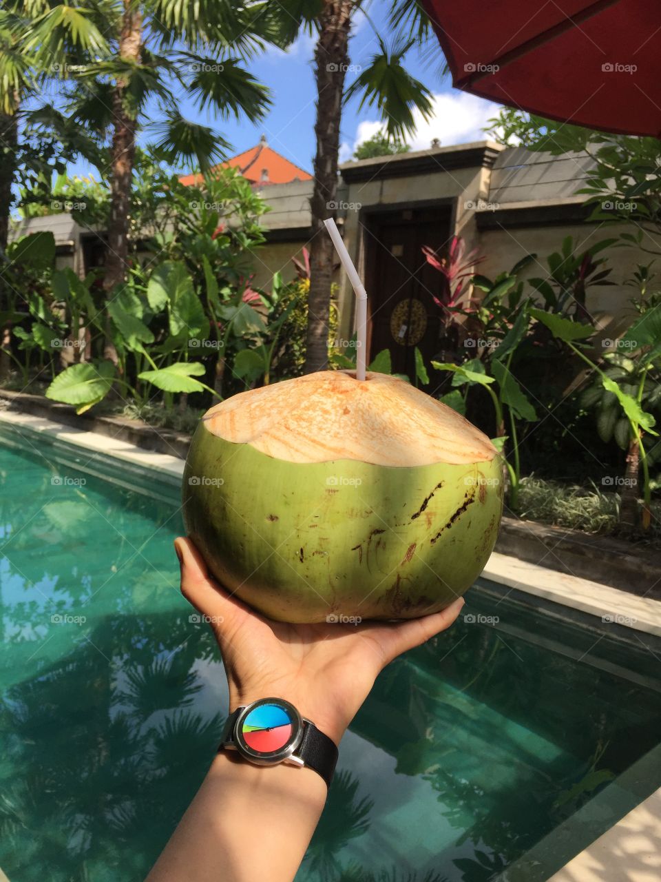Bali / Fruits / #Travelpo🌏