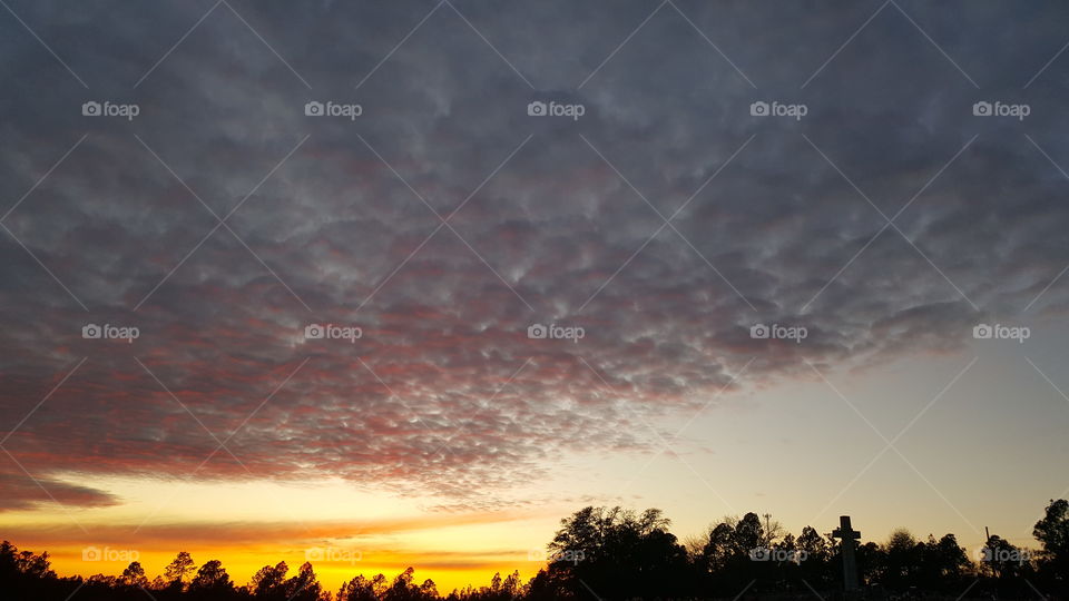 Pink and gold morning