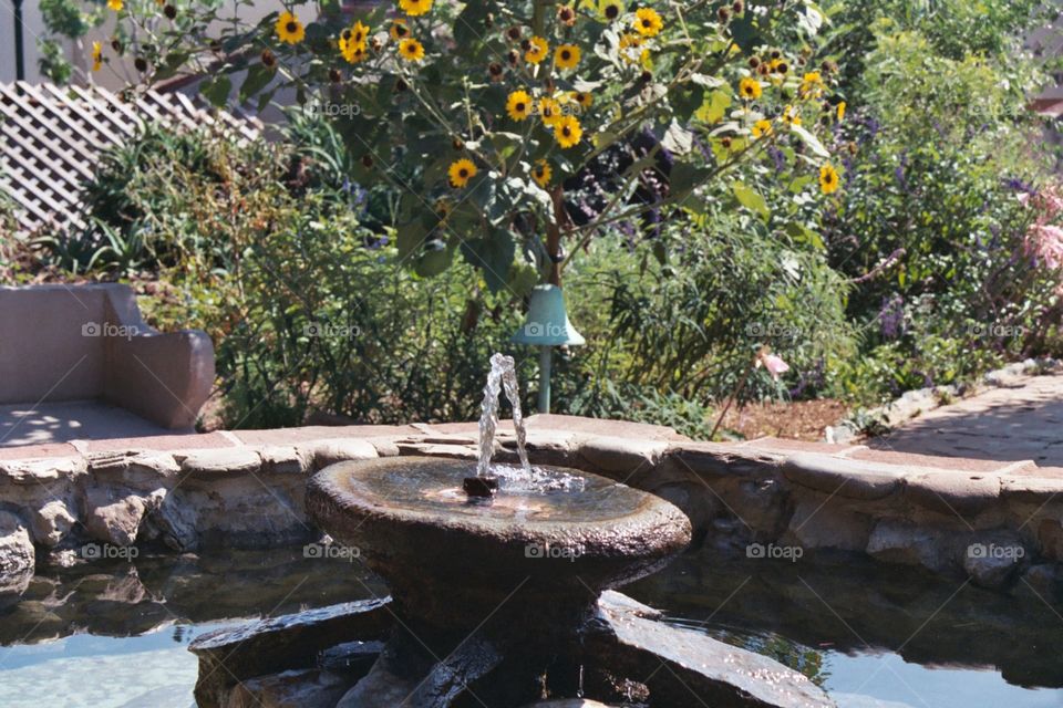 Fountain with a bell