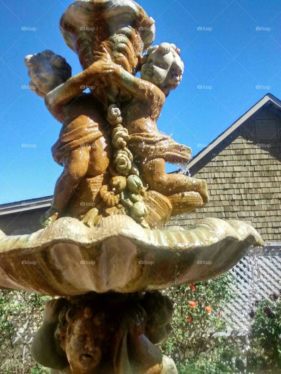 fountain