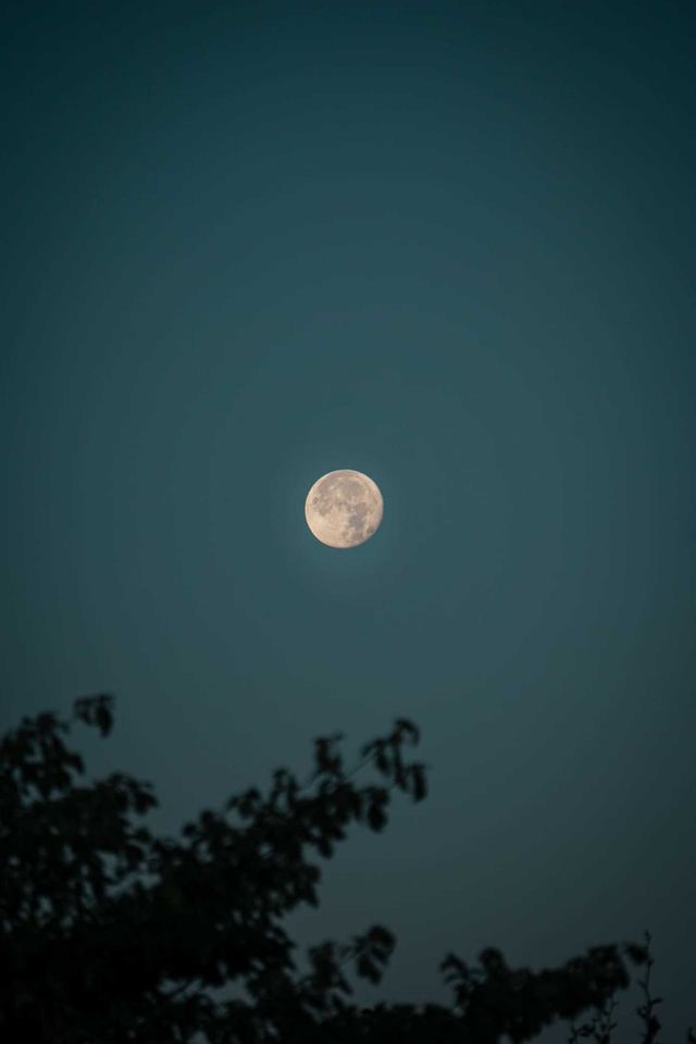 To the moon and back 