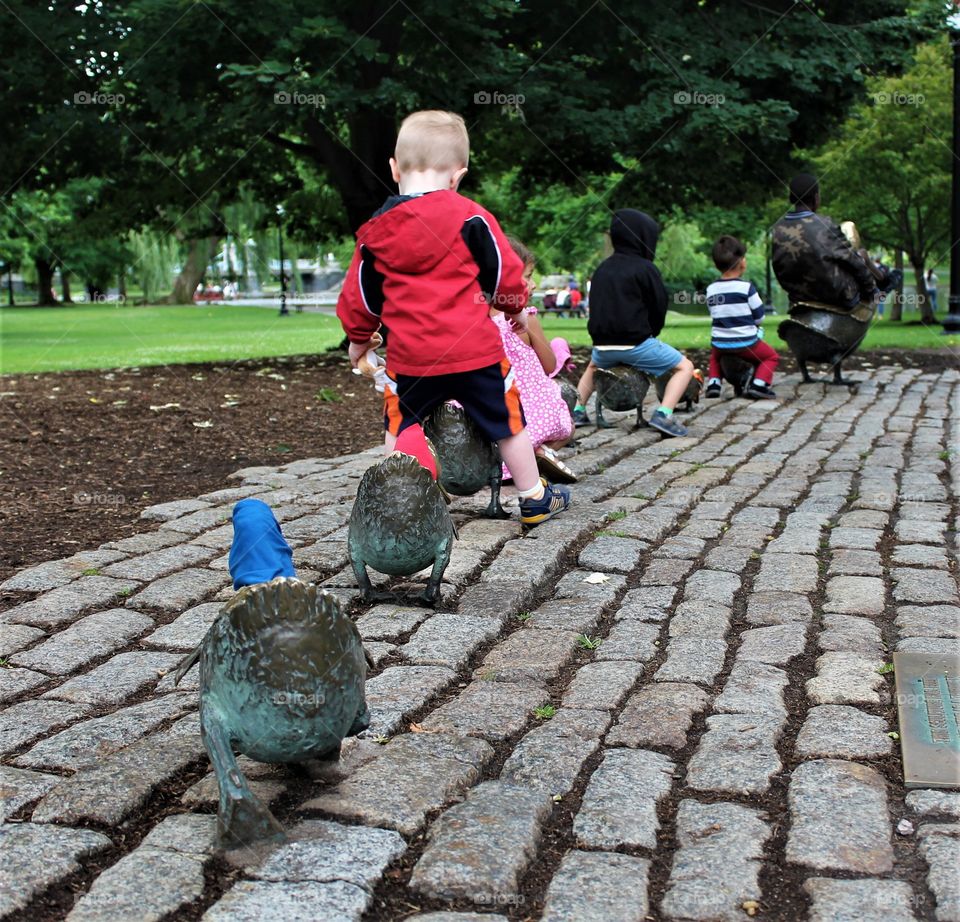 the ducklings, Boston ma