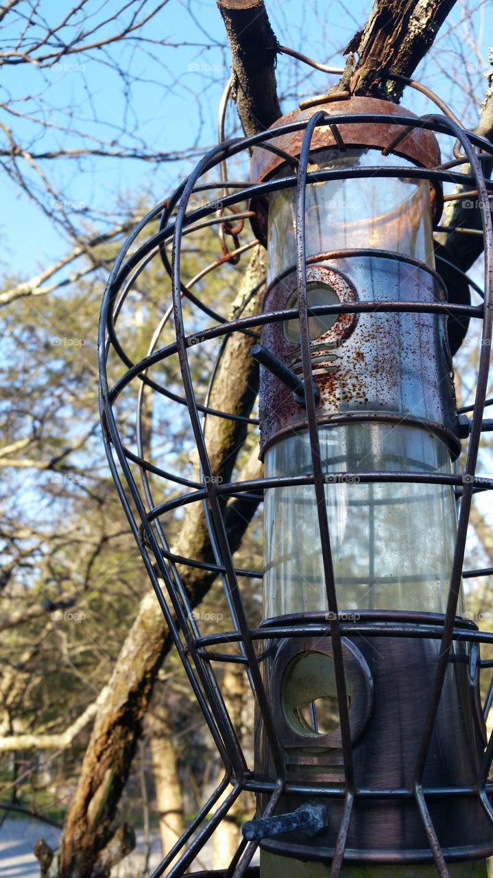 Bird Feeder in the Fall