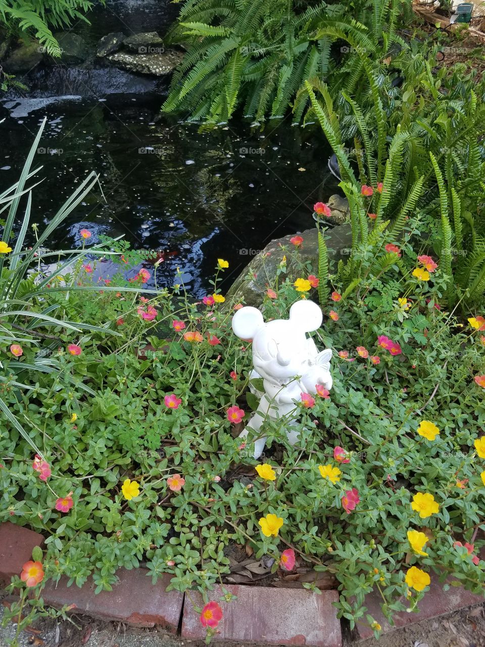 Mickey Guarding Pond