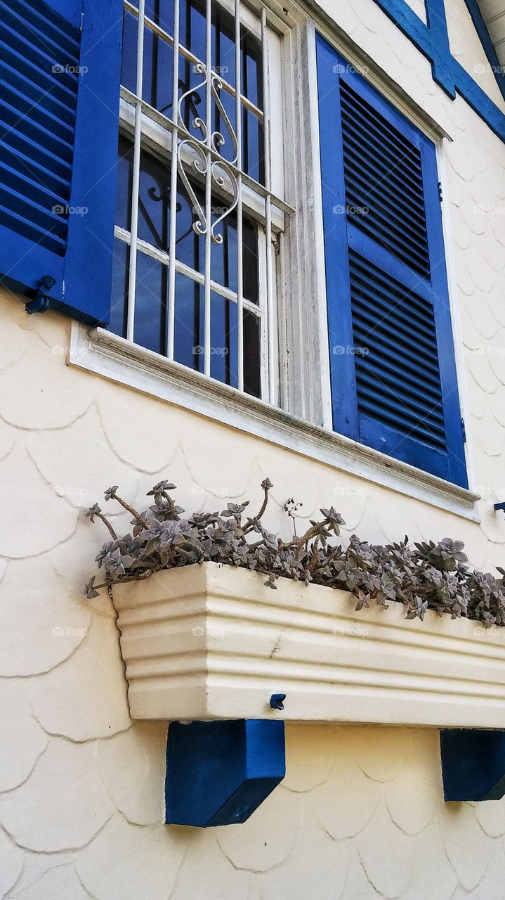 the house of blue windows