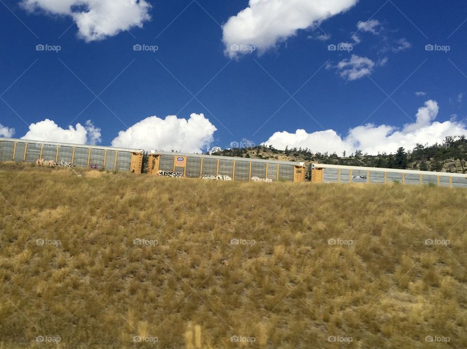 Agriculture, Landscape, Farm, Sky, No Person