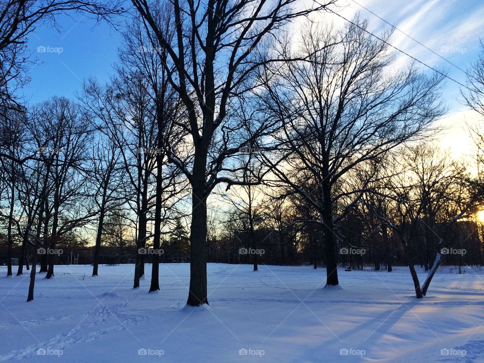 Photo taken during winter at the Burgoyne Park, St. Catharines, ON