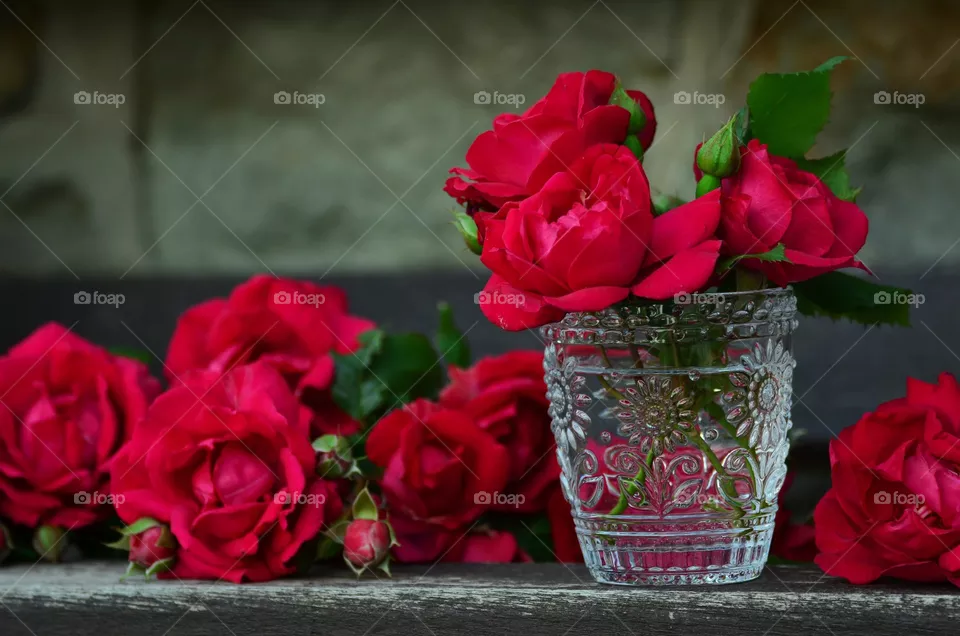 rose PICTURES