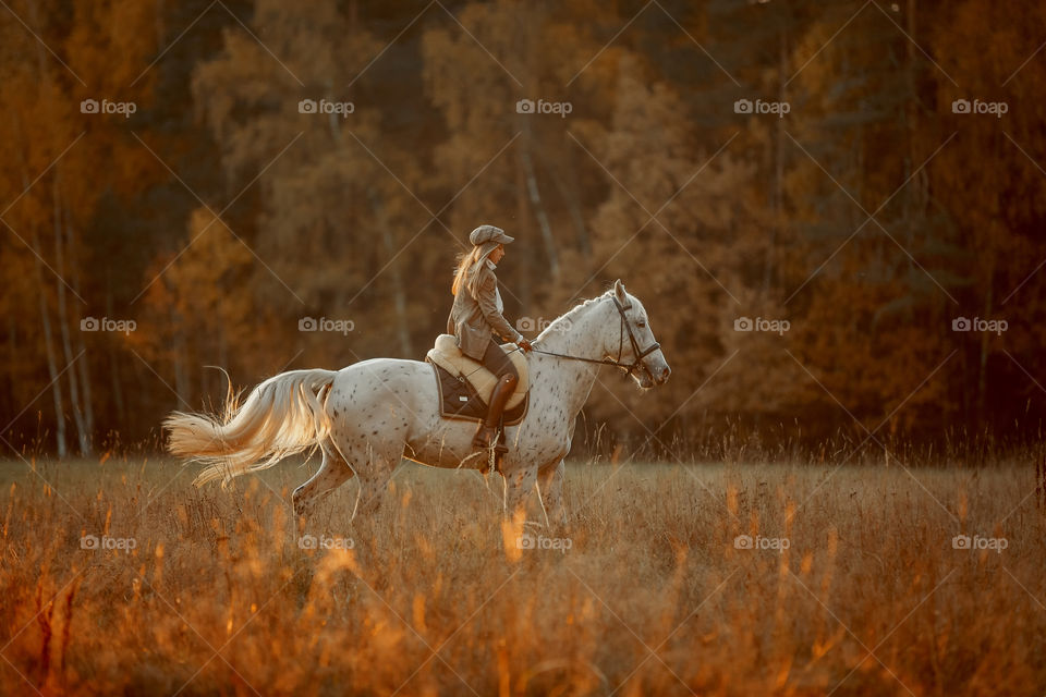 Evening walking horseback riding 