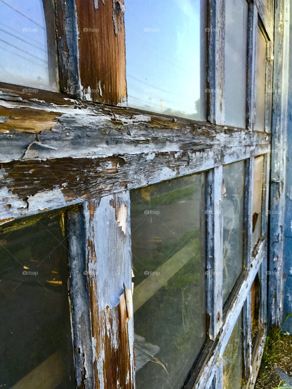 Rotted Window Panes