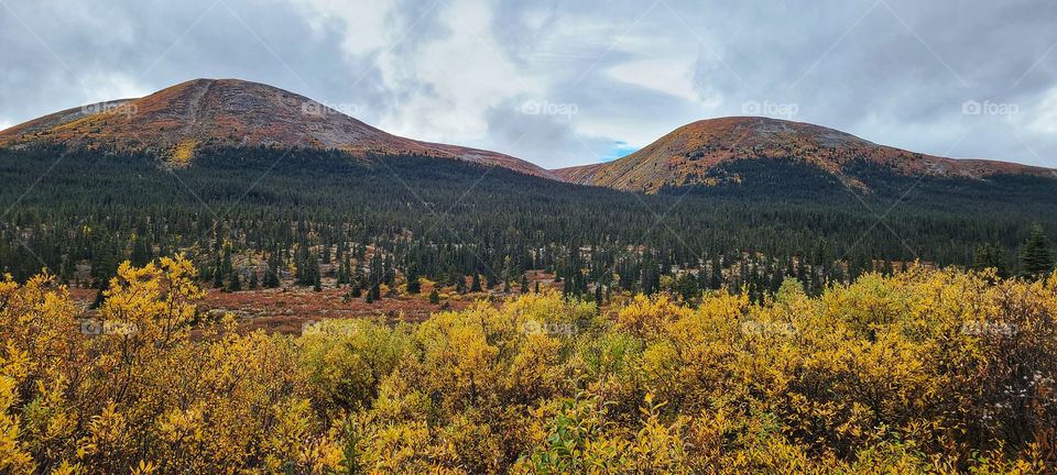 Beautiful September landscape