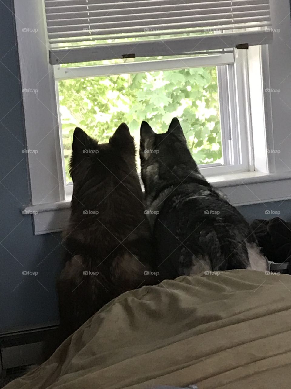 Bird watching 