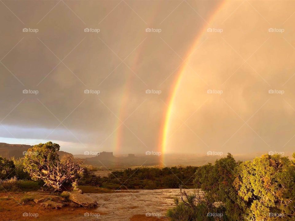 The most magical rainbow I have ever seen, as we wandered the desert of Utah in a rainstorm 