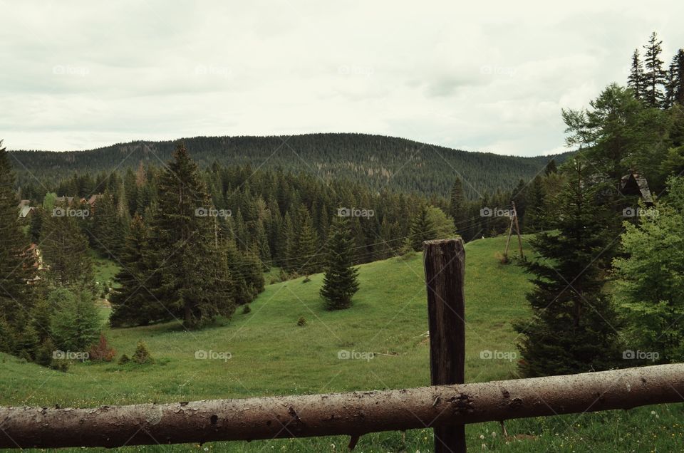 A beautiful view on a way to the mountain top. Hiking with friends on a group vacation.