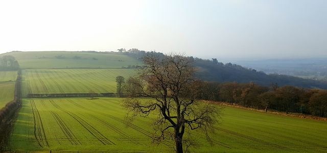North York Moors