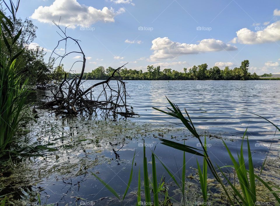 Picturesque lake on a sunny day.The view is incredibly calm and relaxing, and the reflection of the sky and clouds on the surface of the lake adds to its beauty and charm.