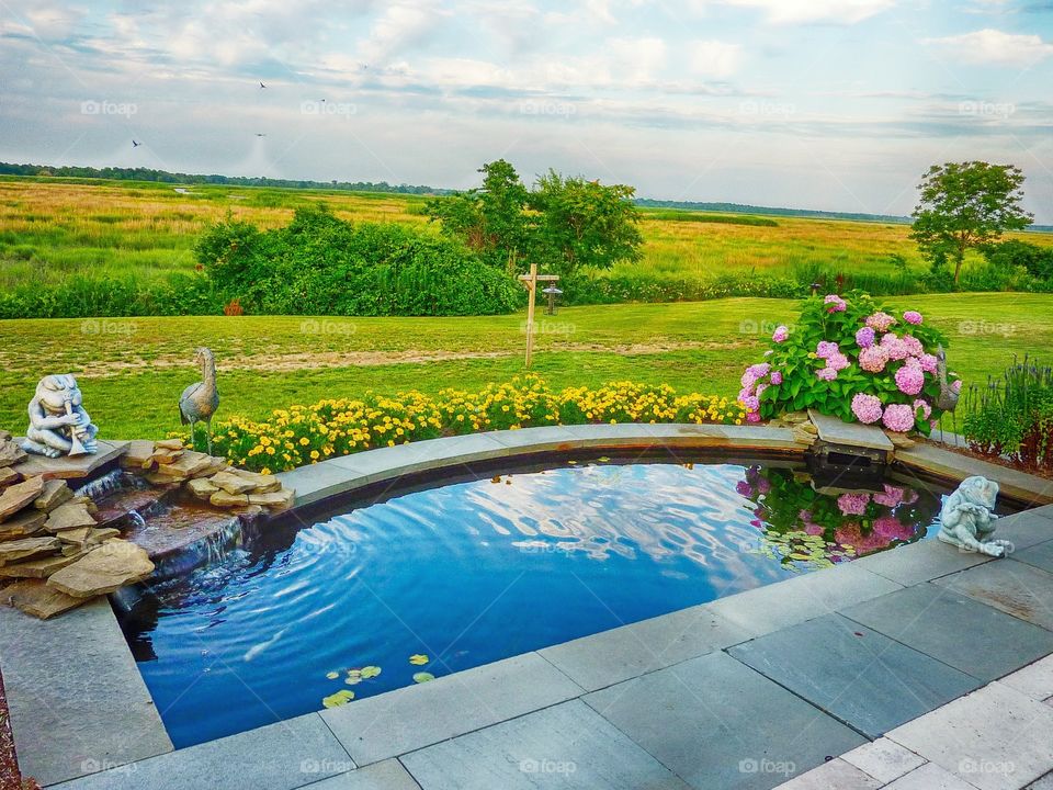 Backyard view overlooking a meadow