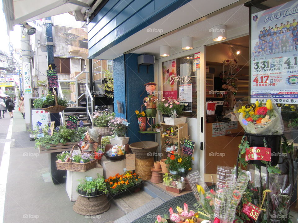 Japanese Flower Shop, Nakameguro, Tokyo