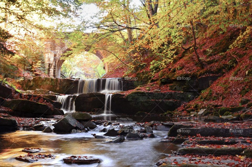 Autumn Landscape