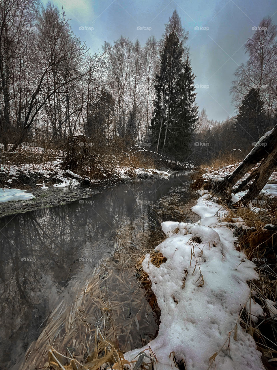 Winter landscape with small forest river