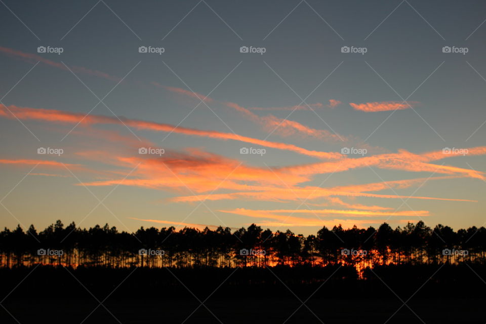 Florida Sunset