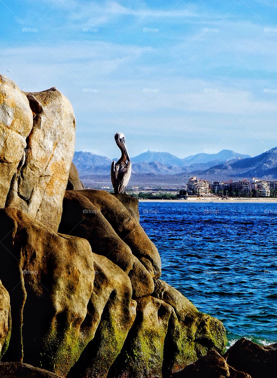 cabo san lucas ocean sky blue by stevehardley7