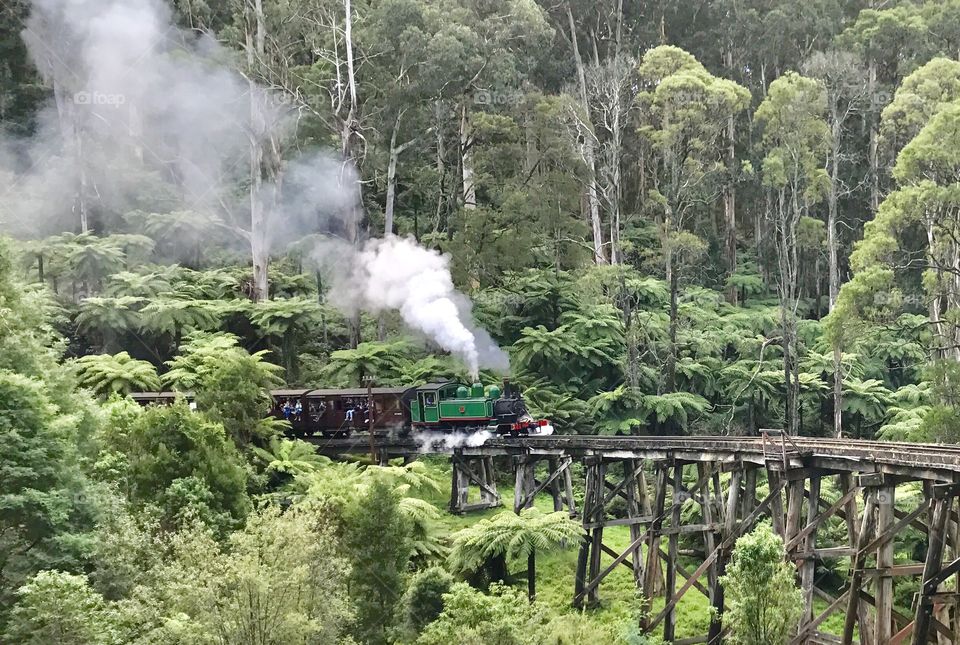Old steam train traveling over the old trestle bridge in Belgrave, Victoria 