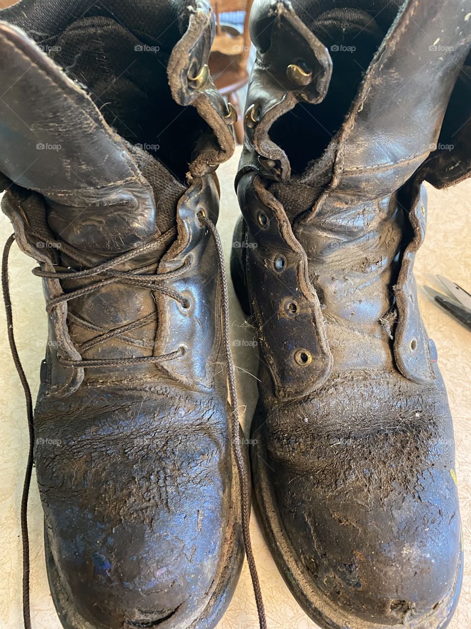 Play hard work harder 