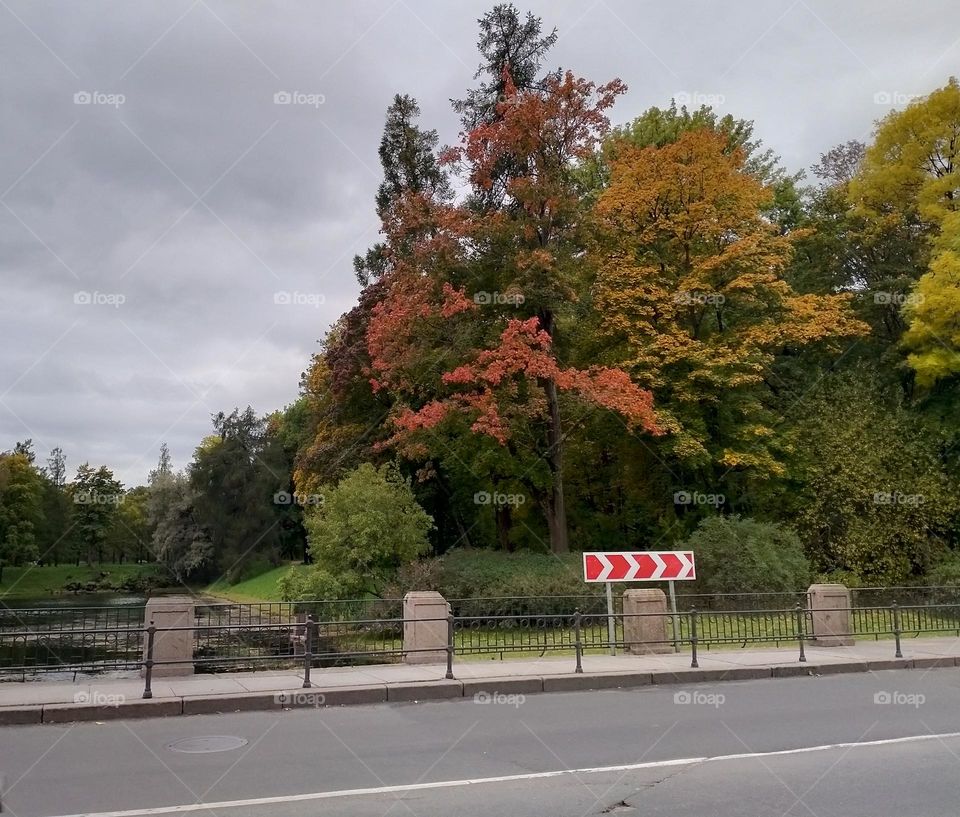 Autumn/Fall in Tsarskoe selo