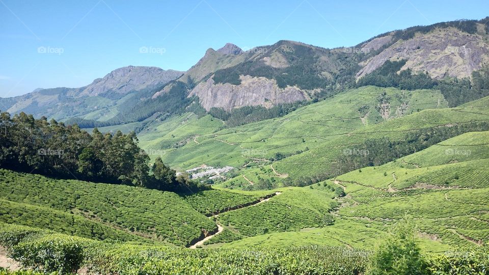 "Nature is pleased with simplicity." 