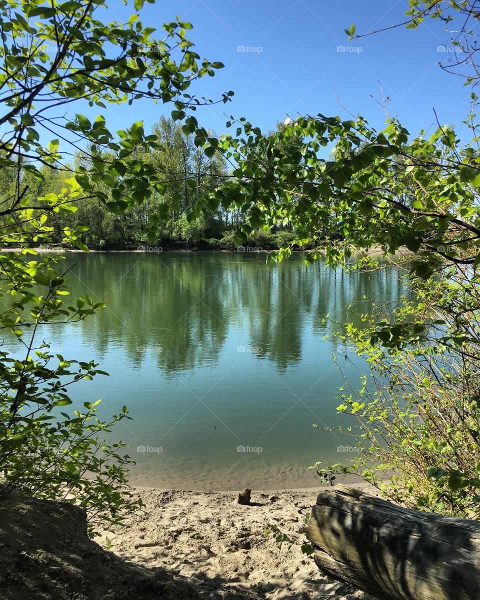 River spot in Mount Vernon, WA 