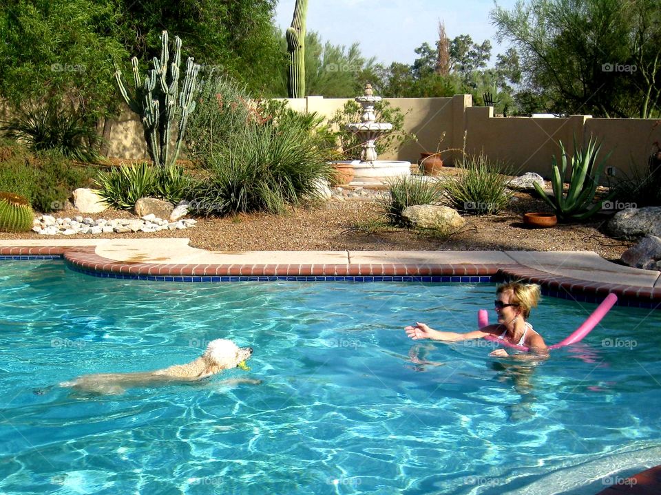 summer fun in the pool