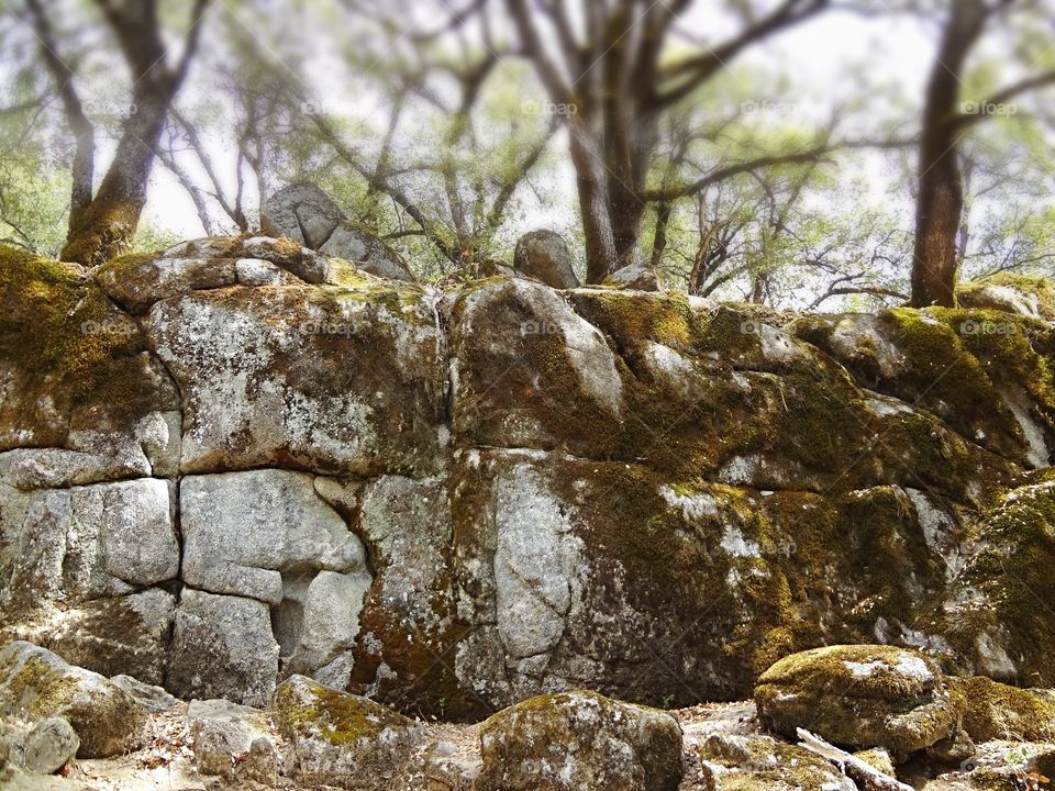 Mossy boulder wall