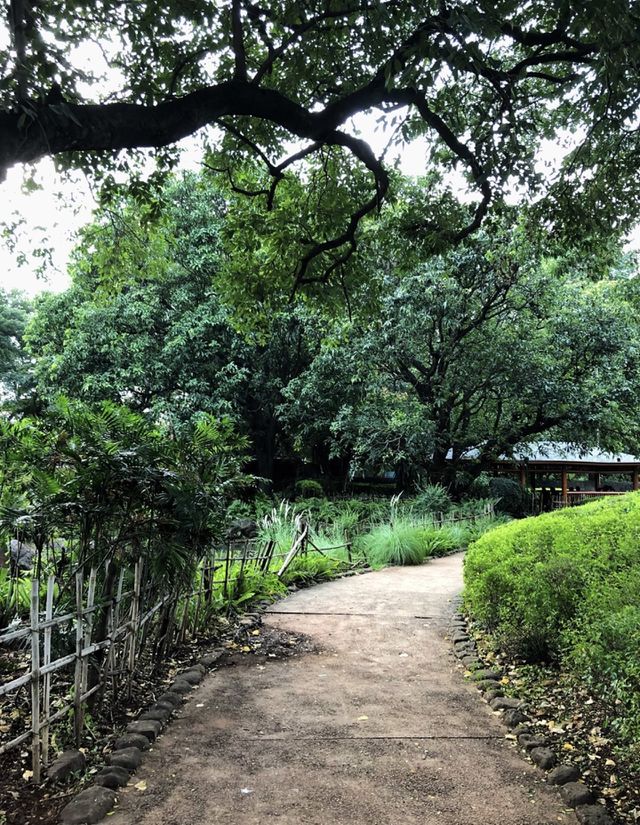 Morning walk 
