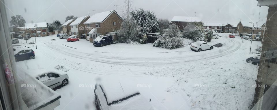 Snowy garden scene 