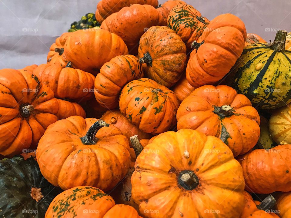 Pile of pumpkins