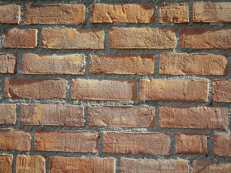 Red brick wall.