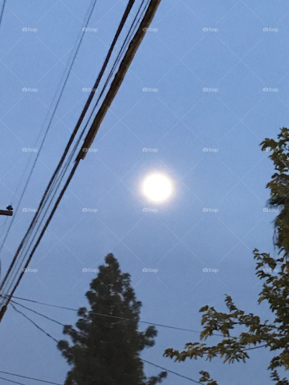 Moon in the early evening time. An awesome sight for sore eyes.