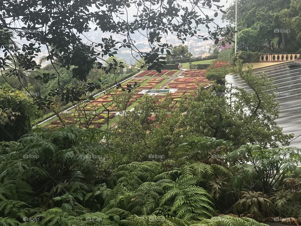 Jardim botânico Funchal 