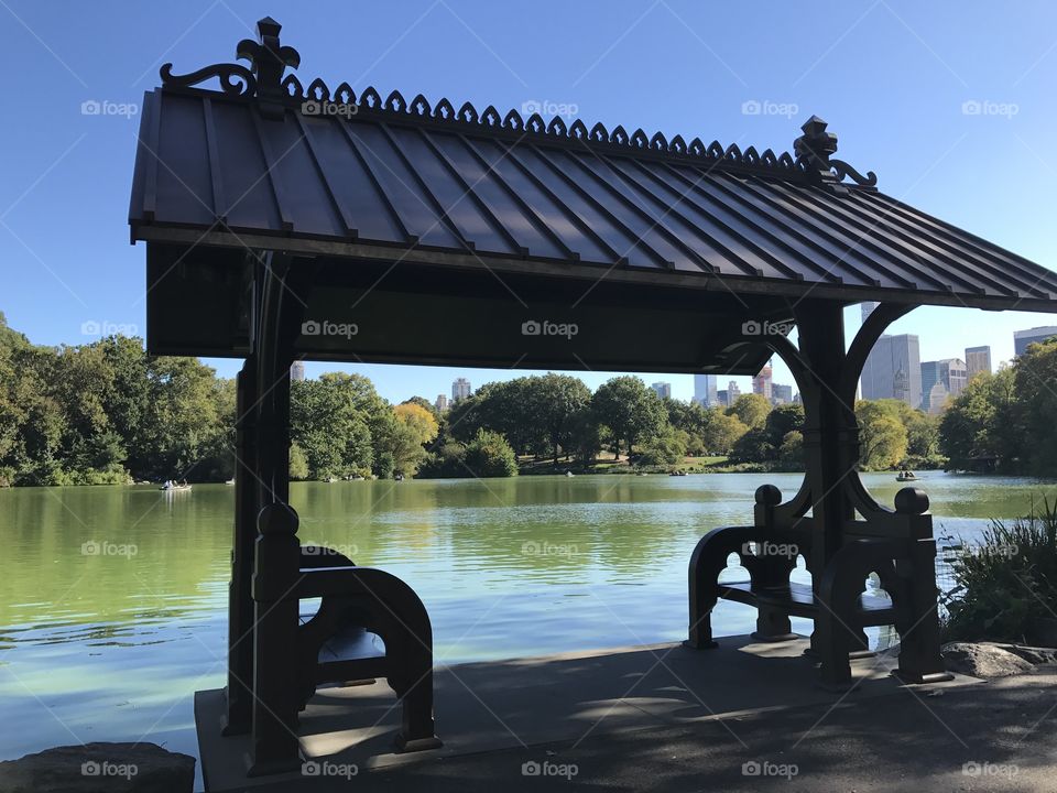 Central Park Pond NYC
