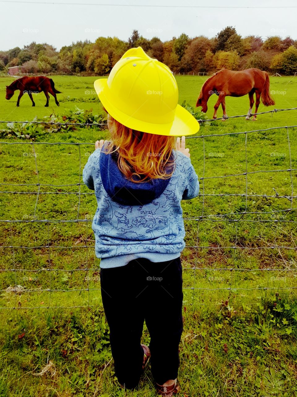 My son adoring the horses
