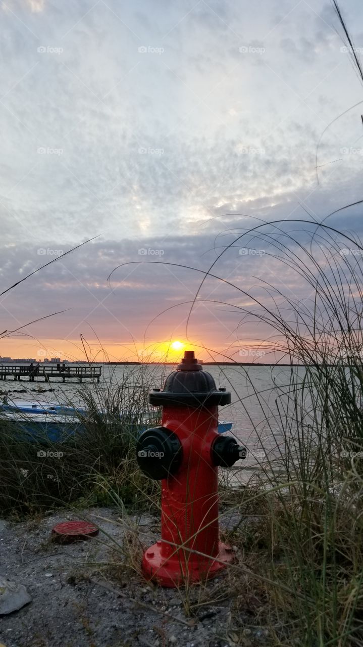 Sunset at Dunedin