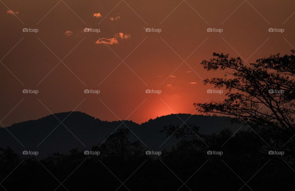 Chengrai/Thailand:February 16 2019-Chui Foung ,beautiful sun set on tea plantation 