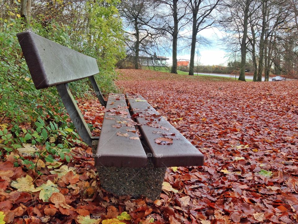 Bench