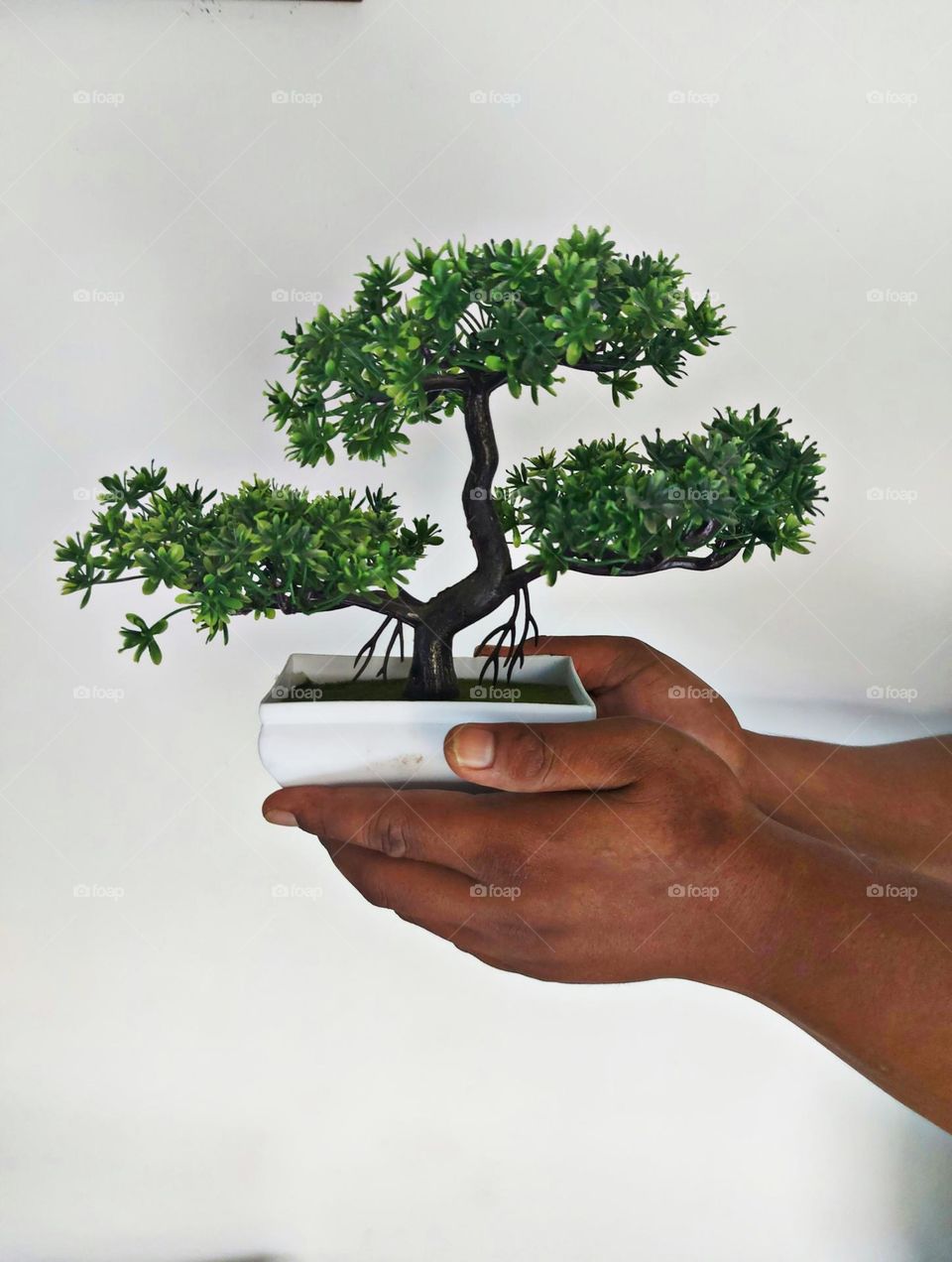 A man's hand supports a bonsai plant on a white background, as a symbol of caring for the environment
