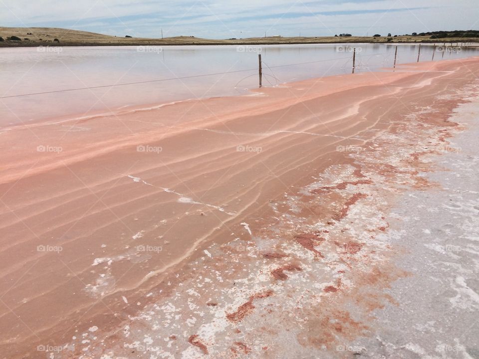 Pink lake