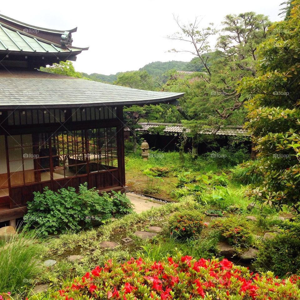 The Beautiful Garden